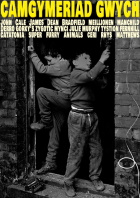 Cover for the DVD of Beautiful Mistake
